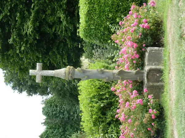 Monte Escalier 22 Installateur Monte Escalier Le Haut-Corlay